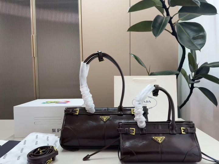 Prada Bonnie Dark Brown Baguette Bag — hero