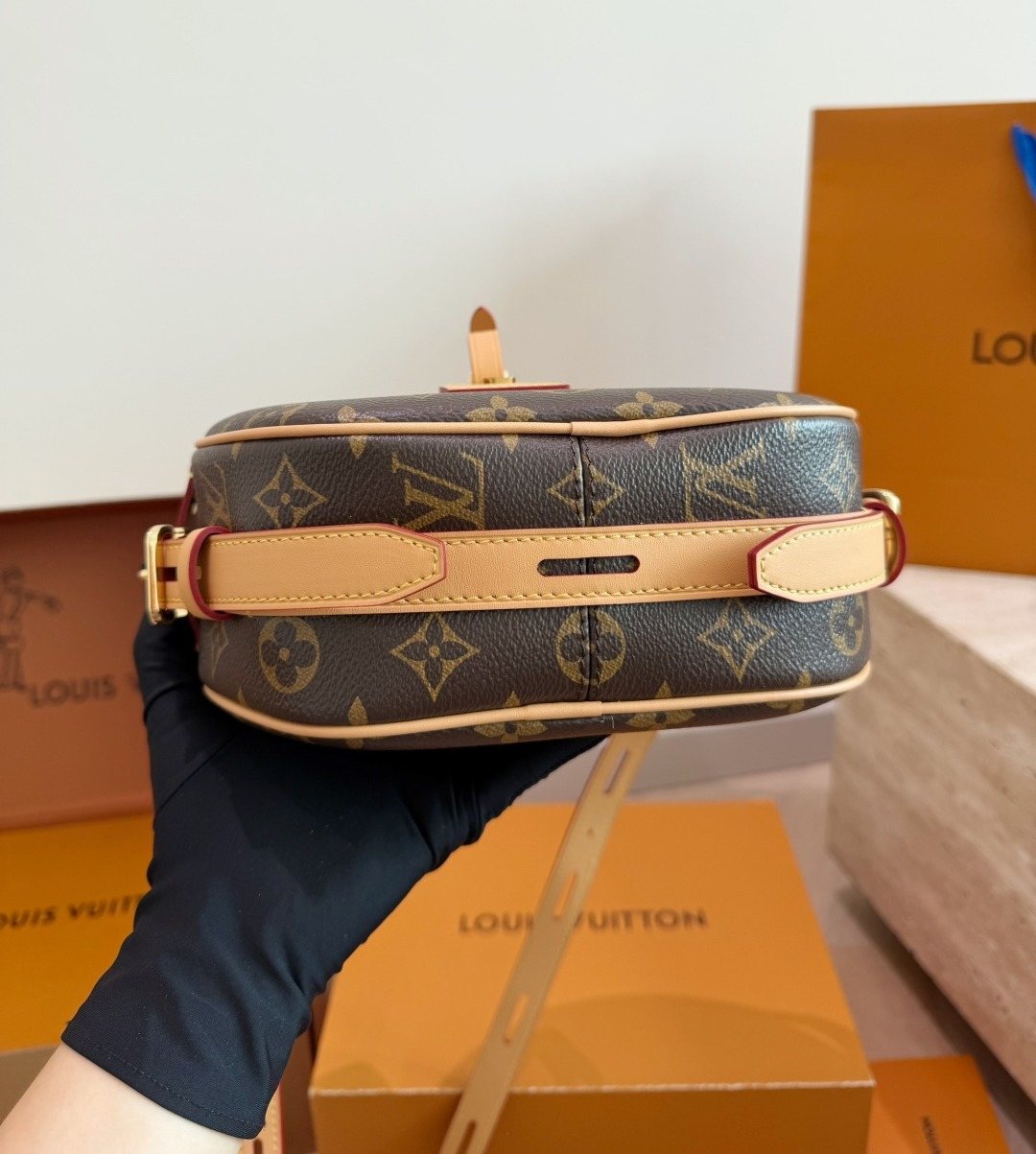 Louis Vuitton Circular Monogram Shoulder Bag — detail
