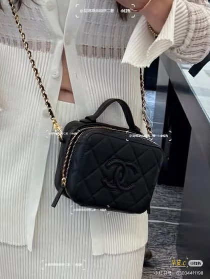 Chanel Rounded Top Handle Camera Bag — model