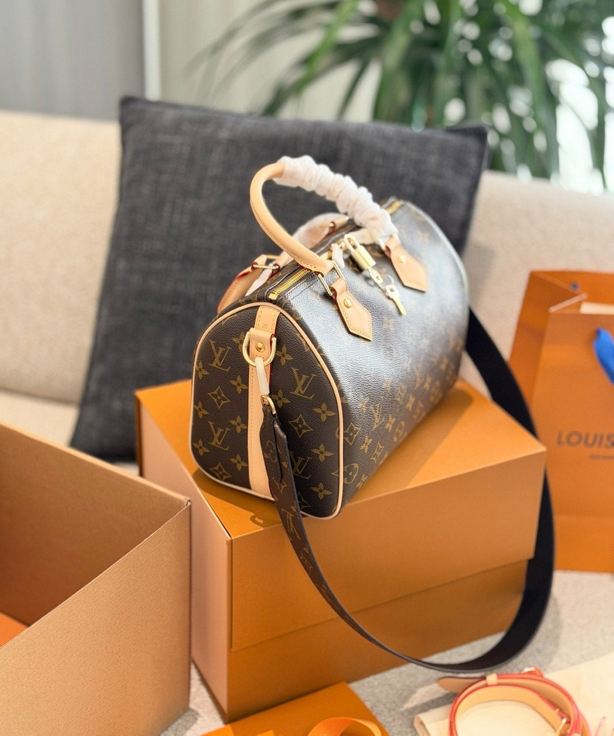 Louis Vuitton Speedy Monogram Satchel — side