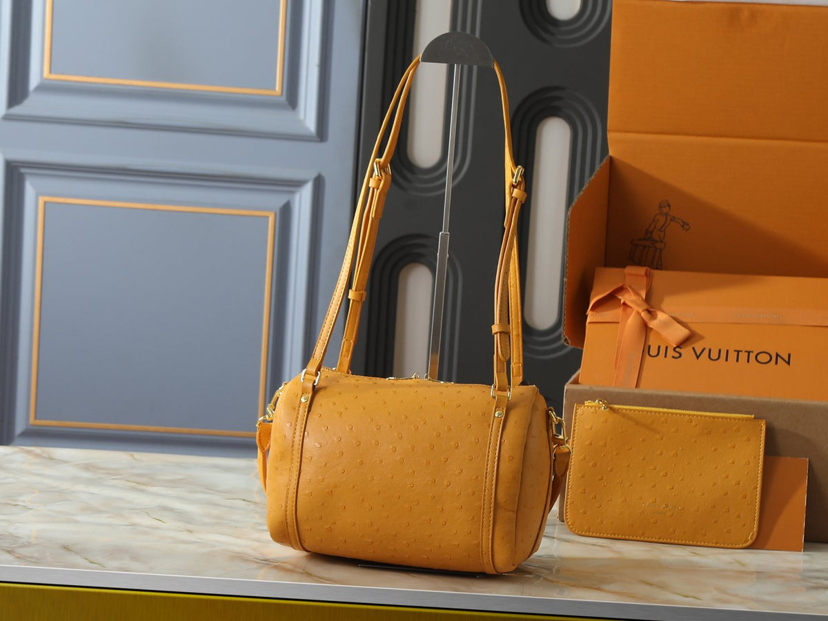 Louis Vuitton Express Dotted-Texture Shoulder Bag — back