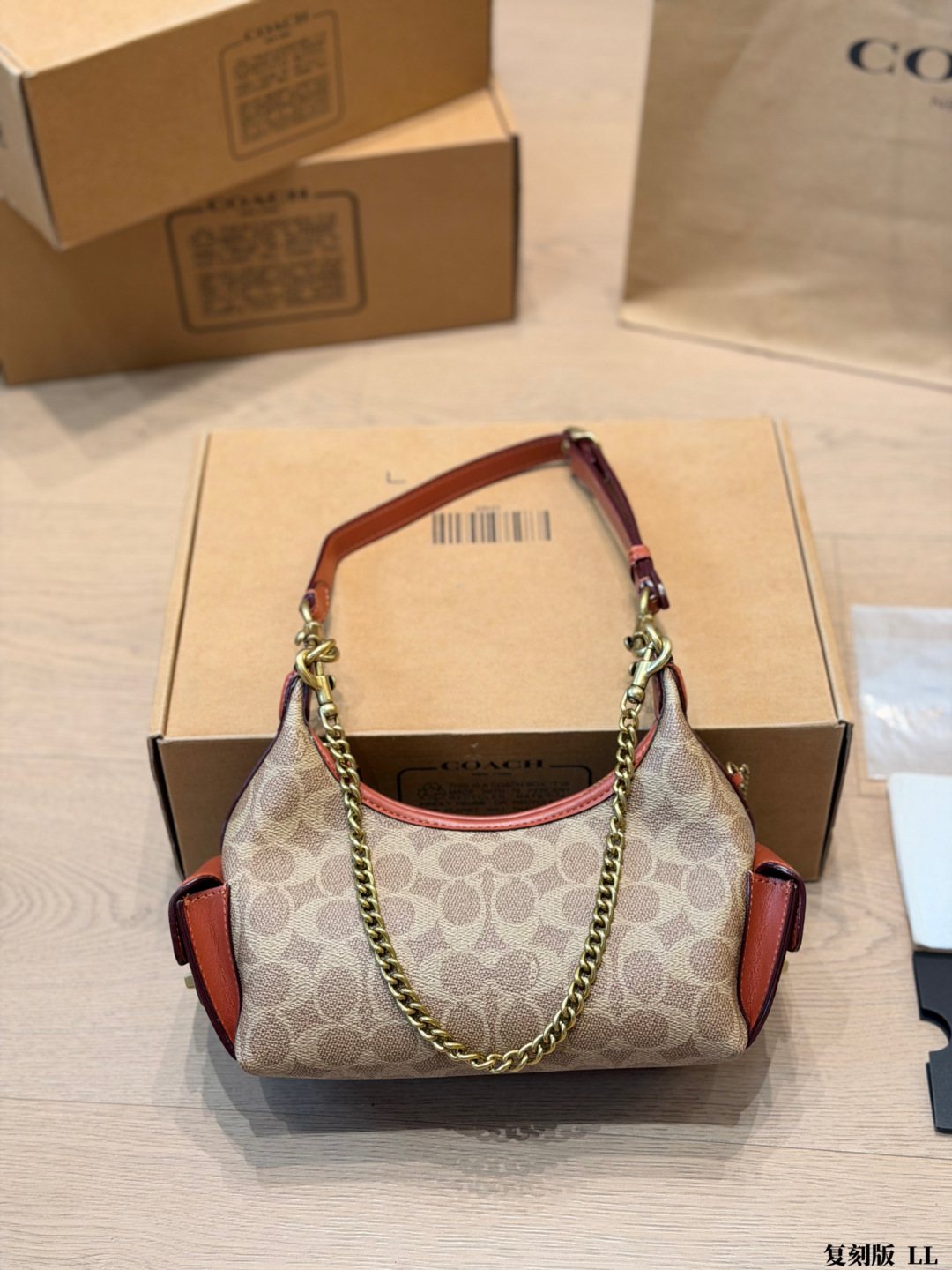 Coach C-Pattern Chain Hobo Bag — hero
