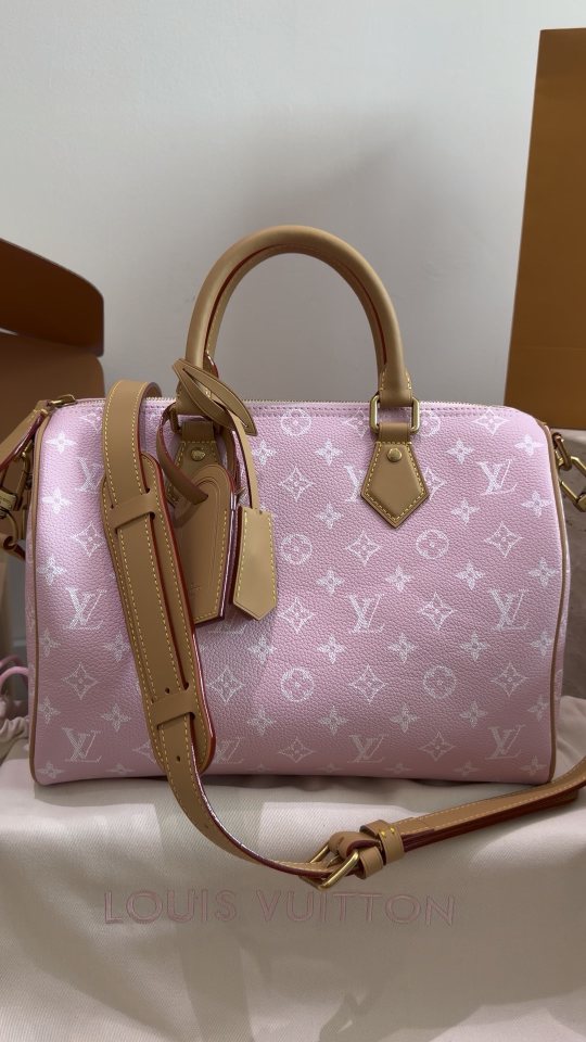 Louis Vuitton Speedy Monogram Satchel — hero