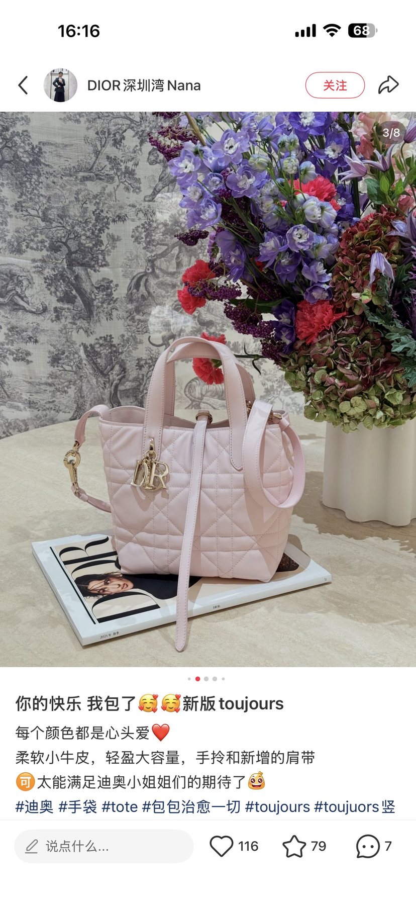 Dior Toujours Upright Quilted Handbag — front