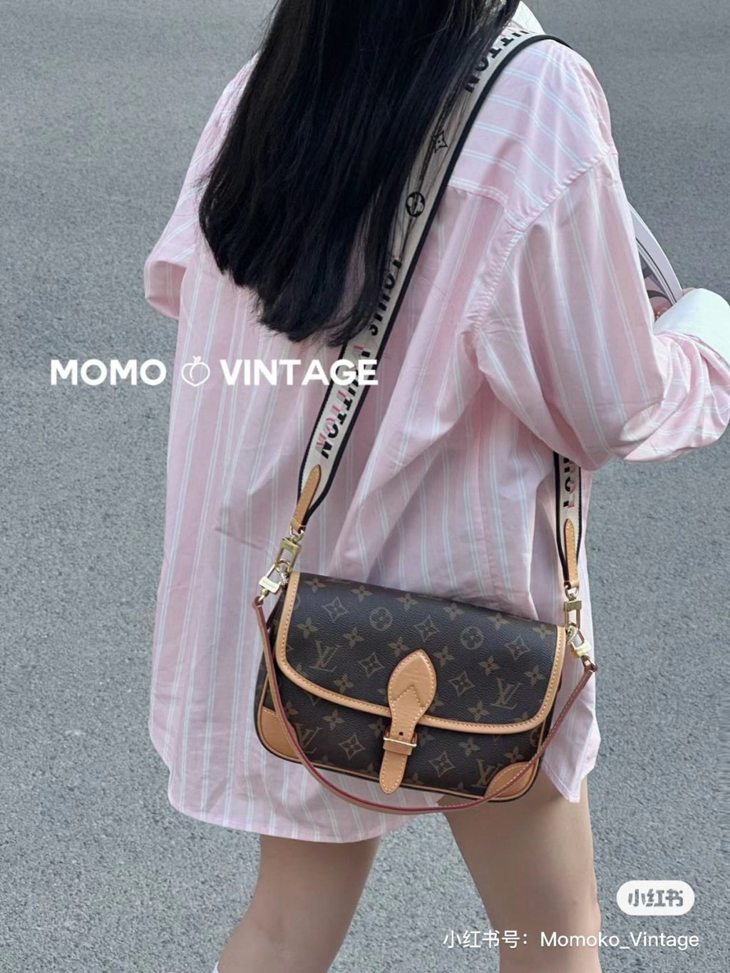 Louis Vuitton Diane Monogram Shoulder Bag — model